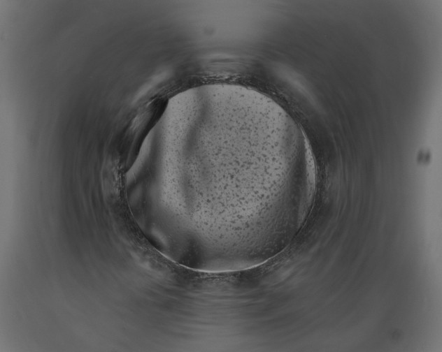 X0000088891394200707061422