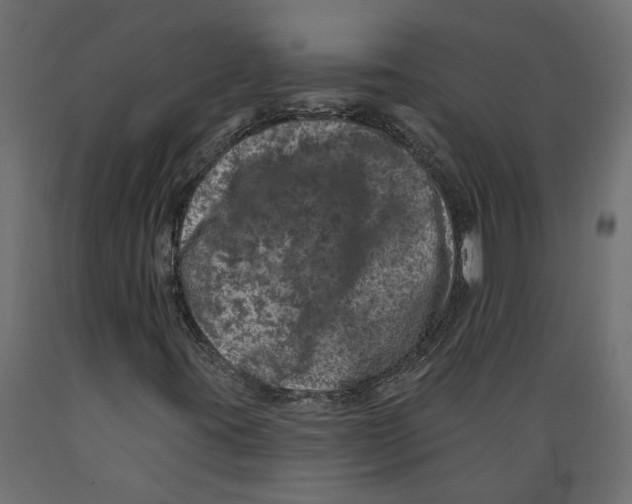 X0000088891395200707061422