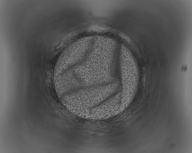 X0000088891397200707061422