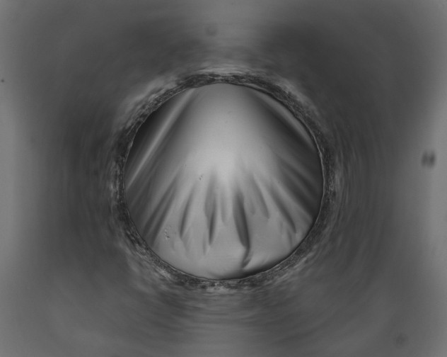 X0000088891398200707061422