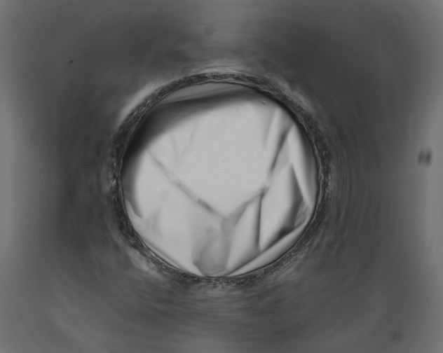 X0000088891400200707061422