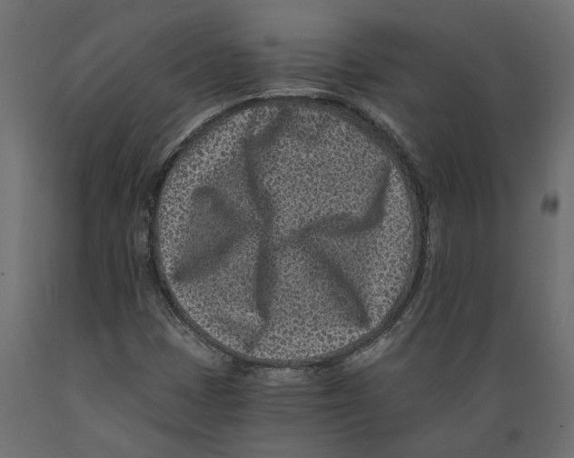 X0000088891401200707061422