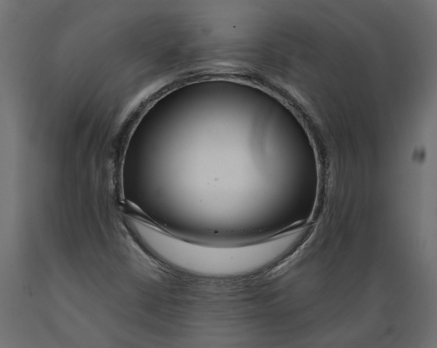 X0000088891402200707061422