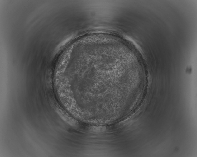 X0000088891403200707061422
