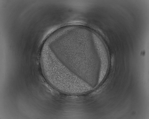 X0000088891405200707061422