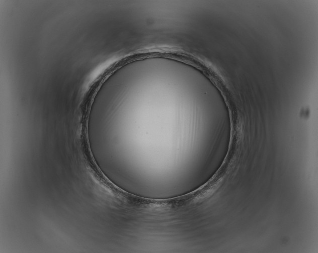 X0000088891406200707061422