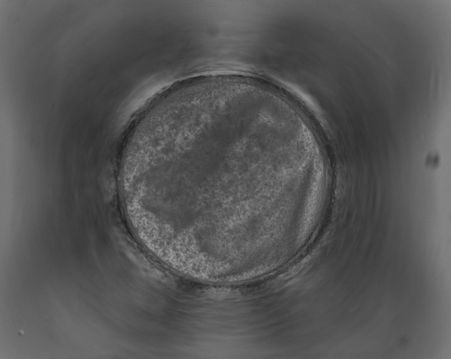 X0000088891407200707061422