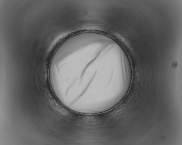 X0000088891408200707061422