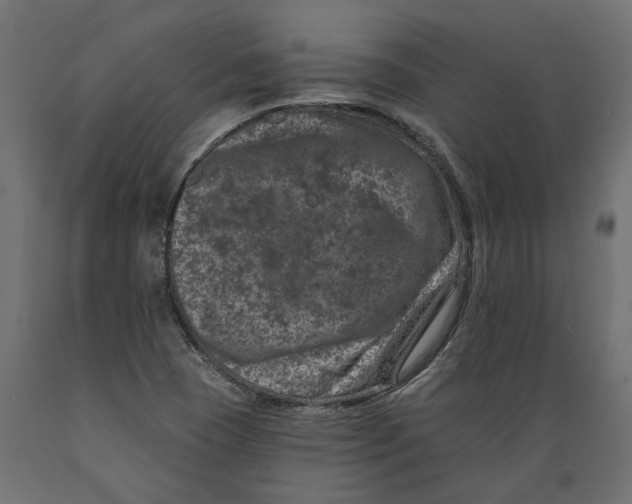 X0000088891409200707061422