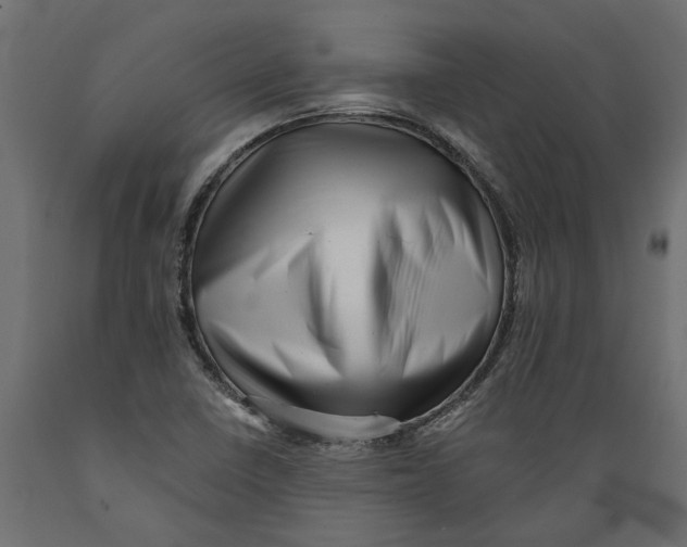 X0000088891410200707061422