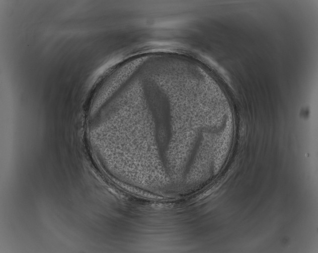 X0000088891411200707061422