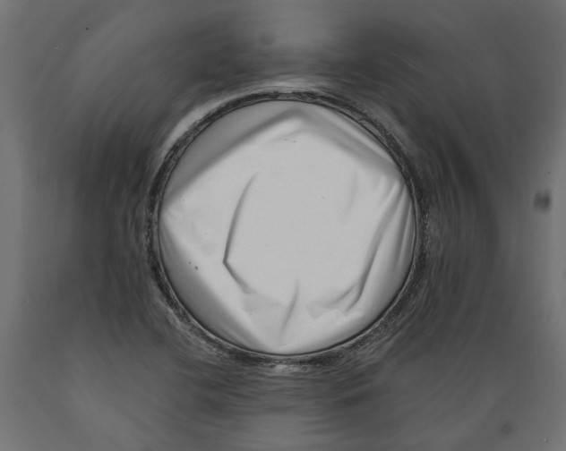 X0000088891412200707061422