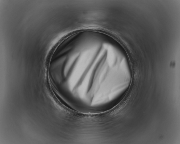 X0000088891414200707061422