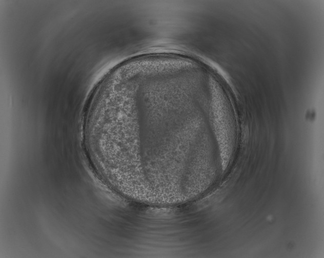 X0000088891415200707061422