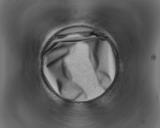 X0000088891416200707061422