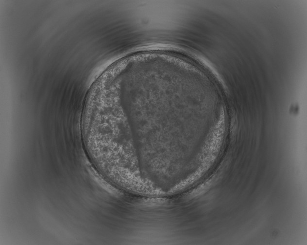 X0000088891417200707061422