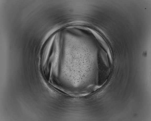X0000088891418200707061422