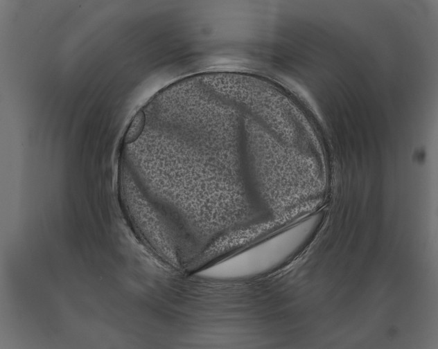 X0000088891419200707061422