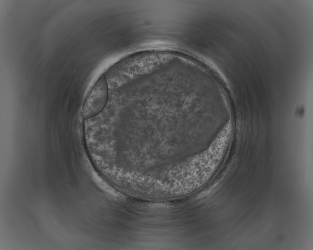 X0000088891421200707061422