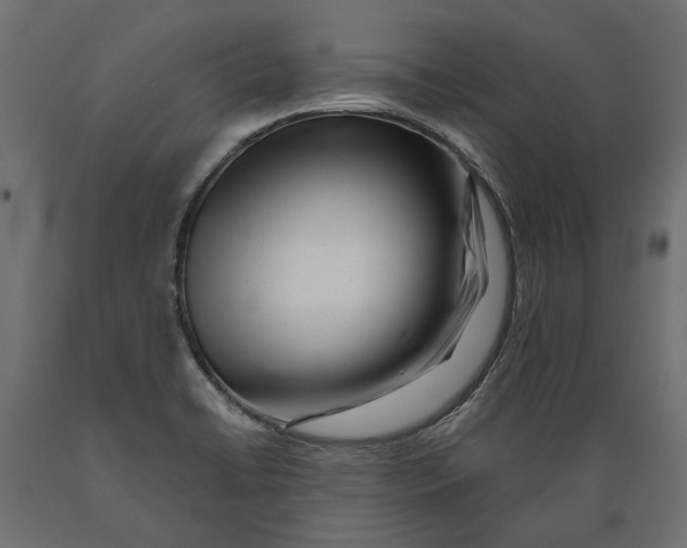 X0000088891422200707061422