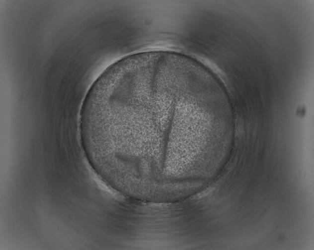 X0000088891423200707061422