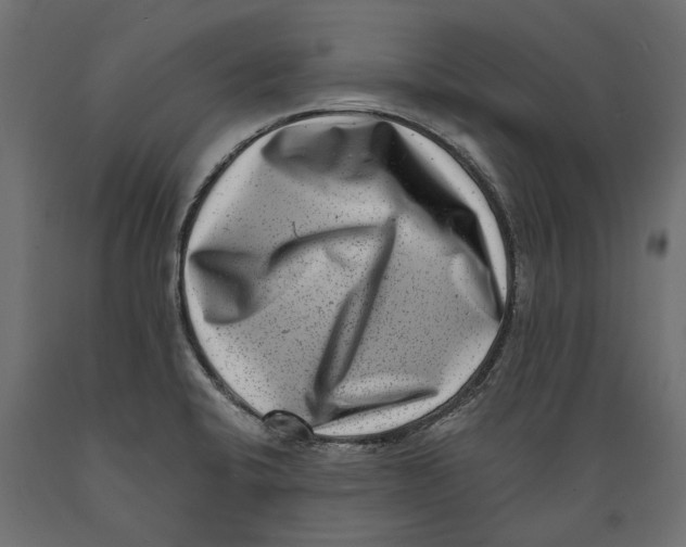 X0000088891424200707061422