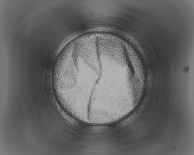 X0000088891425200707061422