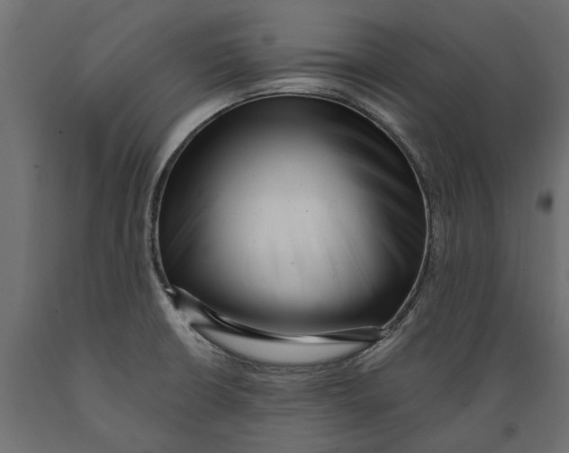 X0000088891426200707061422