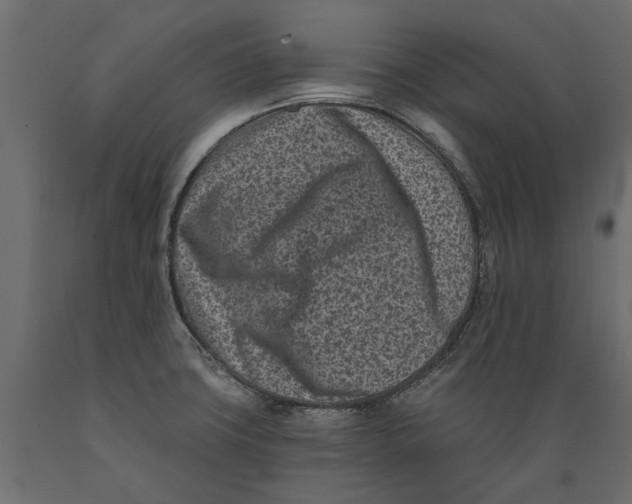 X0000088891427200707061422