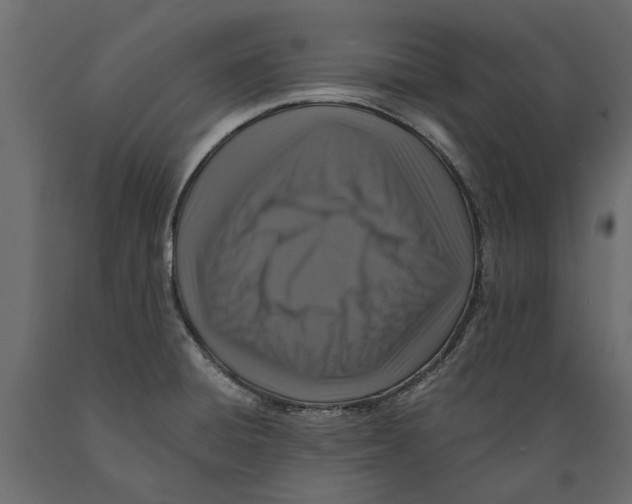 X0000088891428200707061422