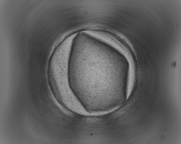 X0000088891429200707061422