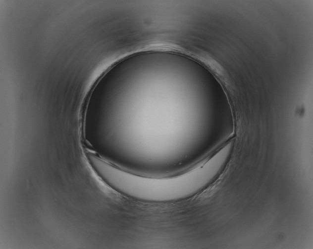 X0000088891430200707061422