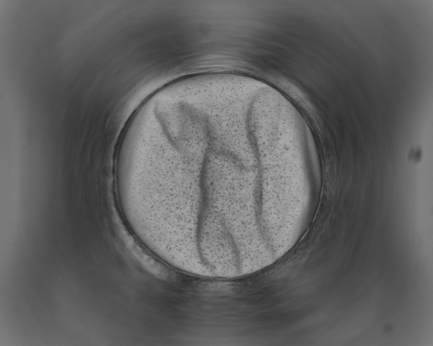 X0000088891431200707061422