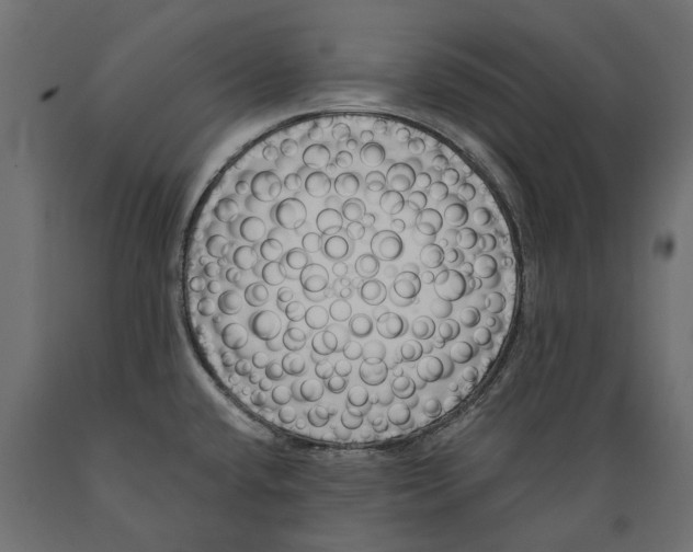 X0000088891432200707061422
