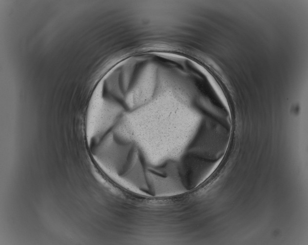 X0000088891433200707061422