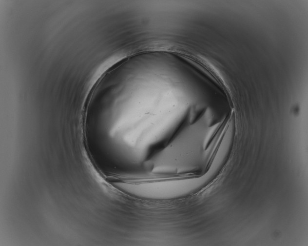 X0000088891434200707061422