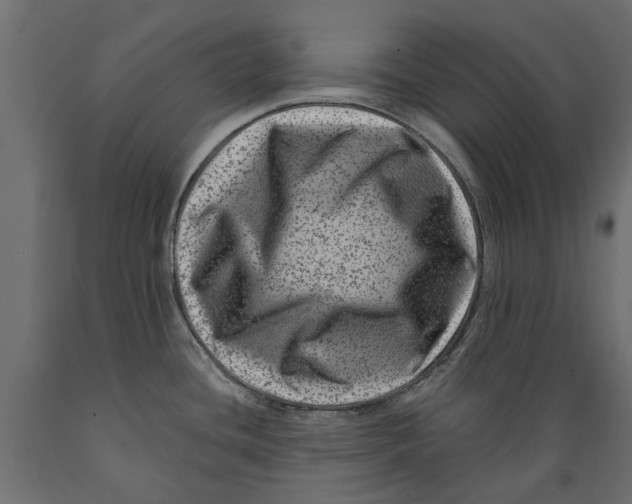 X0000088891436200707061422