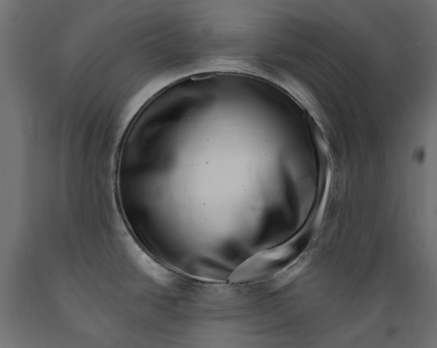 X0000088891438200707061422