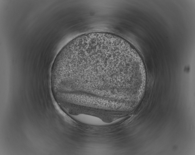 X0000088891439200707061422