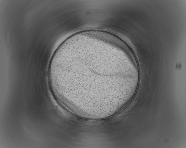 X0000088891440200707061422