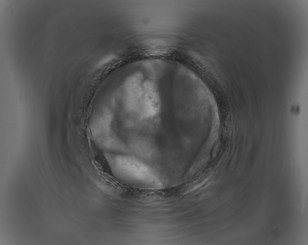 X0000088891441200707061422
