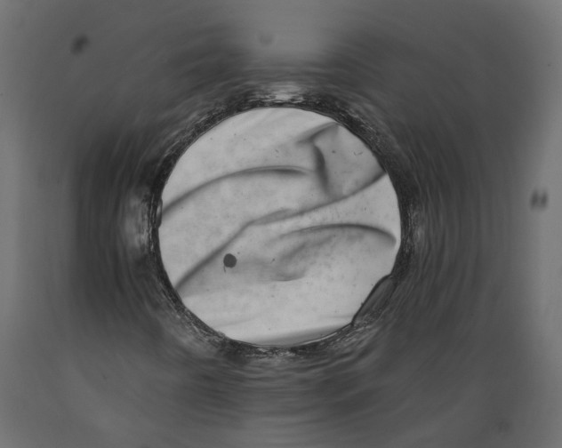 X0000088891442200707061421