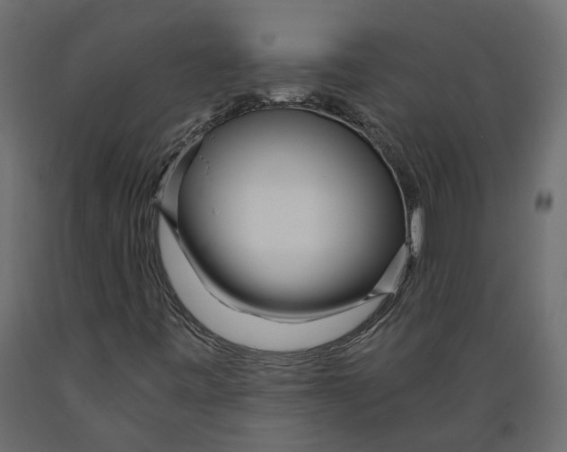 X0000088891443200707061421