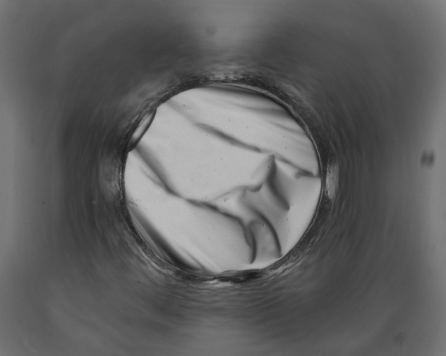 X0000088891444200707061421
