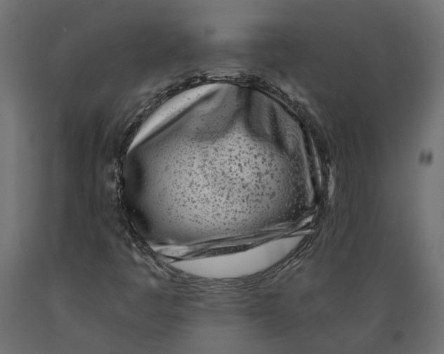 X0000088891445200707061421