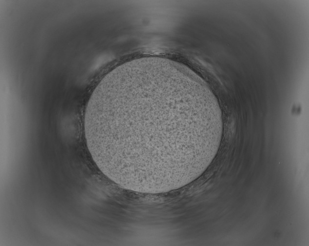 X0000088891446200707061421