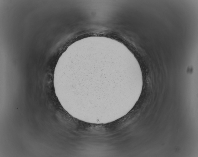 X0000088891447200707061421