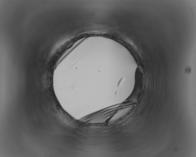 X0000088891448200707061421