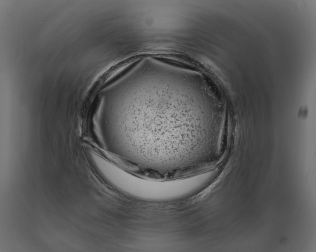 X0000088891449200707061421