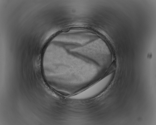 X0000088891450200707061421